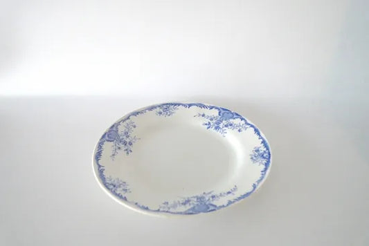 47.アラビアプレート