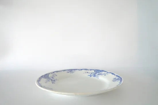 47.アラビアプレート