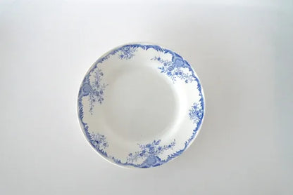 47.アラビアプレート