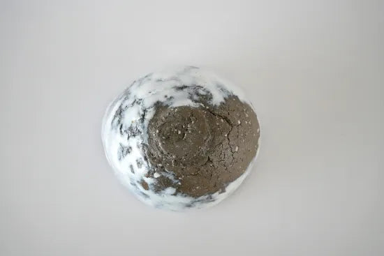 小川待子　[茶碗 白彩]