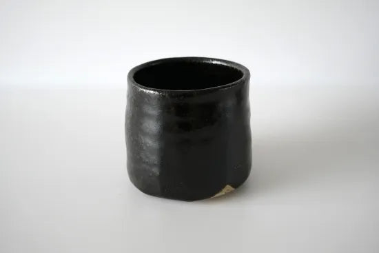 Hiroshi Kishino [3. Seto Black Tea Bowl]