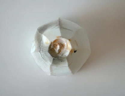 Taro Tabuchi [Rice Bowl 138]