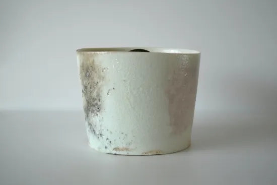 Taro Tabuchi [119. Kiln-fired white porcelain water jar]