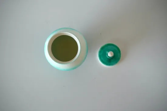 Ryuji Iwasaki [53-3. Lidded Container]