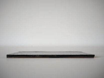 Hanako Nakazato [10 Kaishi Plate]