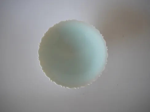 Takuya Murata [40. Blue and white porcelain ridge flower small plate]