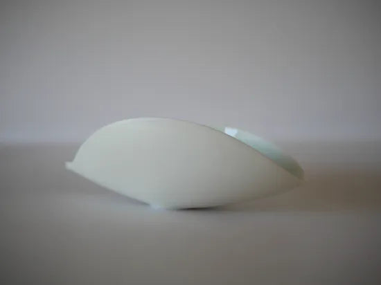 Takuya Murata [41. Blue and white porcelain brown rules]