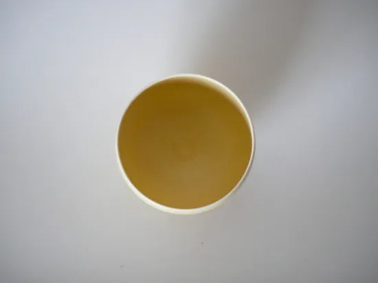 Takuya Murata [53. Yellow Glazed Bowl]