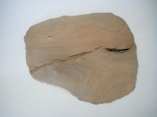 Hanyu Noa (21, Apparatus 4)