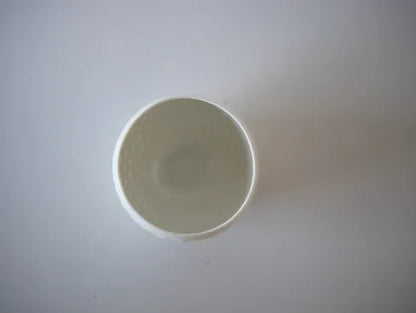 Takaharu Hori [21. White Transparent Eyes - Large Sake Cup]
