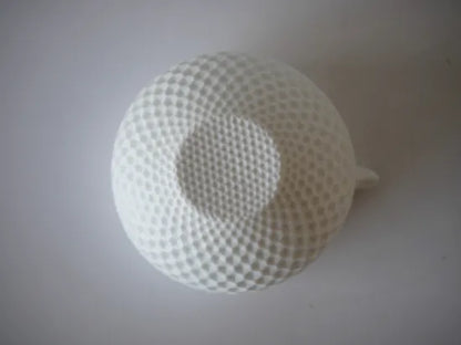 堀貴春 　[24. 白透眼・片口]