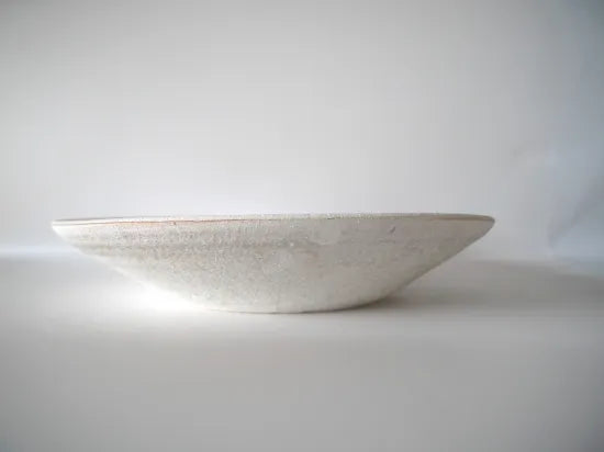 野口悦士  [85．ワイドリム鉢]