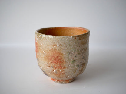 Tsujimura Kai [18. Shigaraki Tea Bowl]