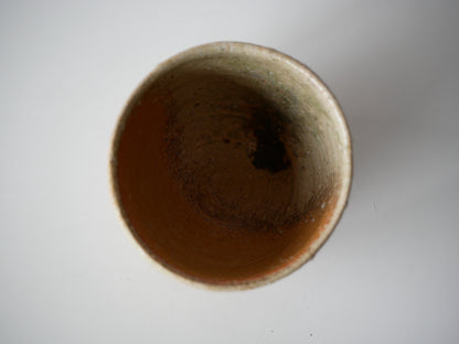 Tsujimura Kai [18. Shigaraki Tea Bowl]
