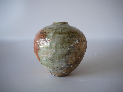 Tsujimura Kai [113. Iga Tsubo]