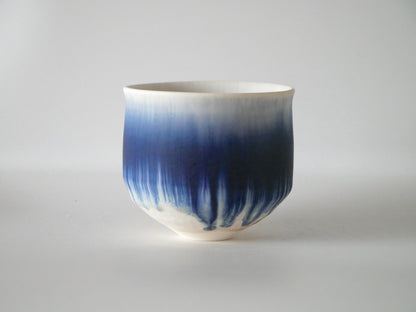 Ryuji Iwasaki [53. Tea bowl]