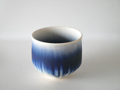 Ryuji Iwasaki [53. Tea bowl]