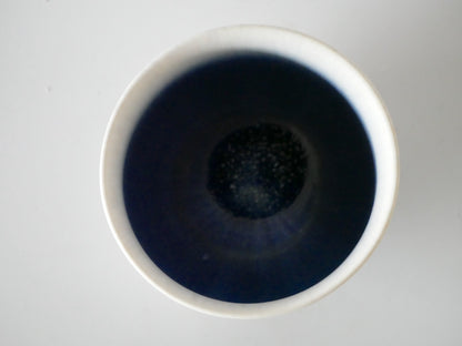 Ryuji Iwasaki [53. Tea bowl]