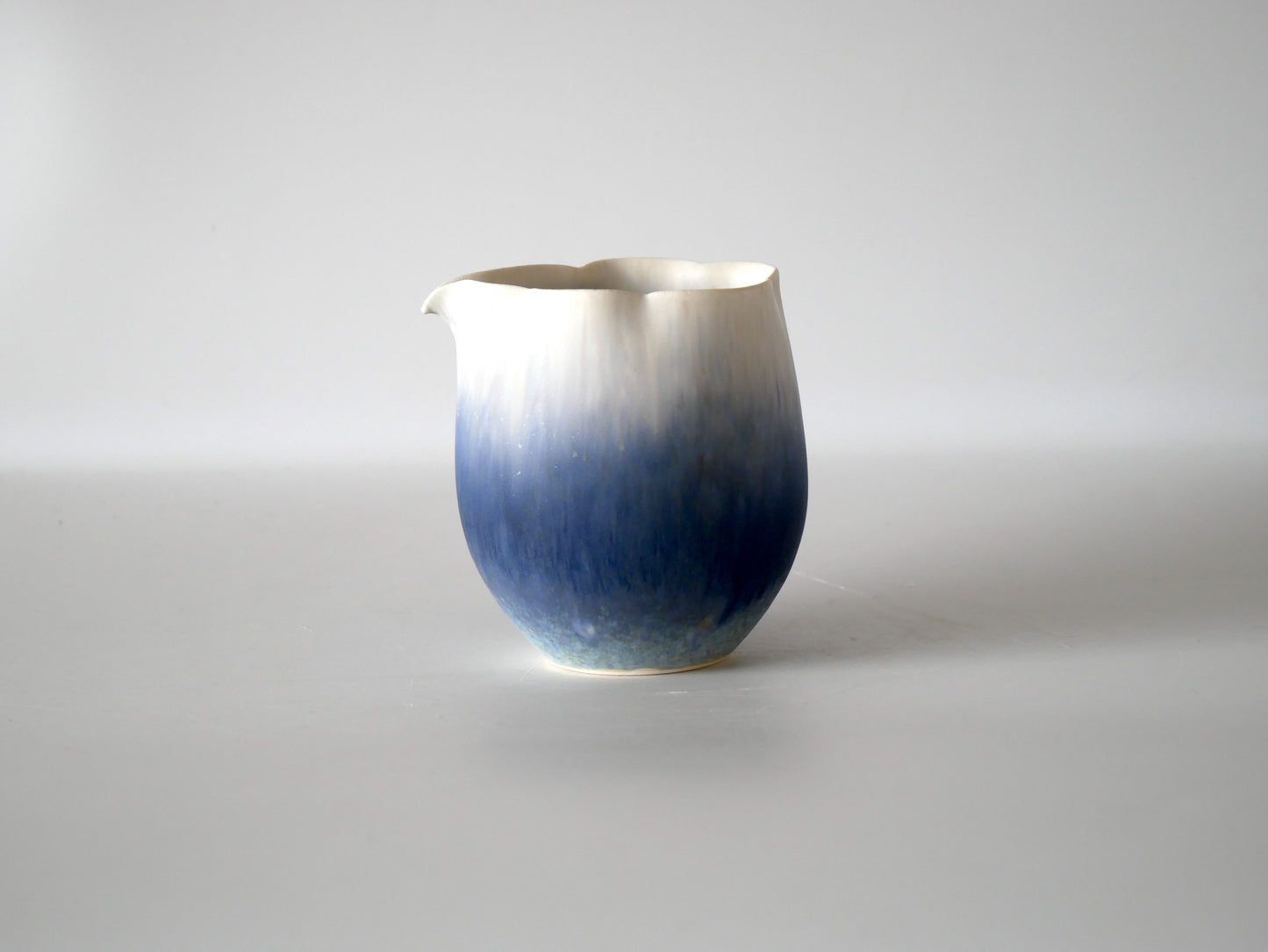 Ryuji Iwasaki [11-A. Spouted Sake Pitcher]