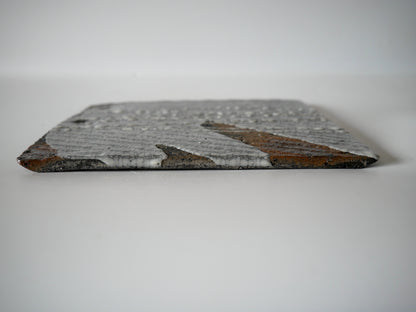 Takafumi Kimura [4. Ink Kannyu Square Plate]