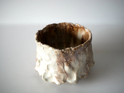 Takafumi Kimura [23. White glaze iridescent teabowl]