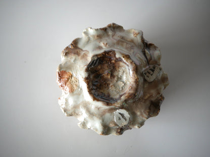 Takafumi Kimura [23. White glaze iridescent teabowl]