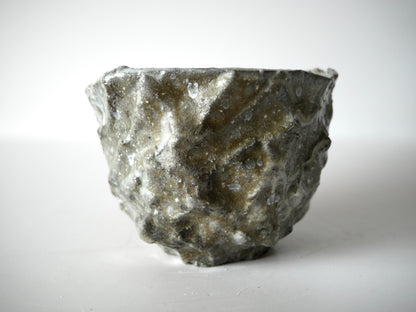 Kimura Takashi [37. Ash-Glazed Hikidashi Chawan]