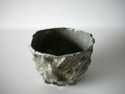 Kimura Takashi [37. Ash-Glazed Hikidashi Chawan]