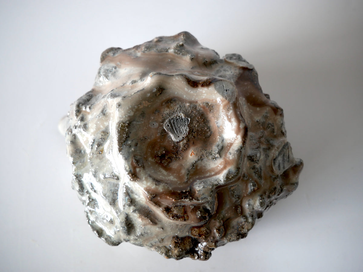 Takafumi Kimura [046. White-glazed Katakuchi Bowl (Brown)]