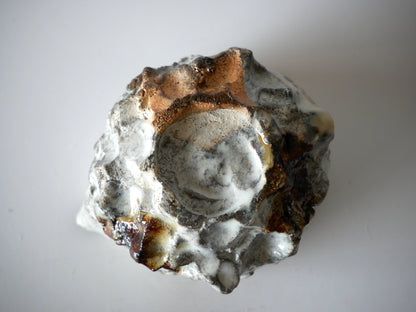 Takashi Kimura [43. White-glazed Katakuchi Bowl]