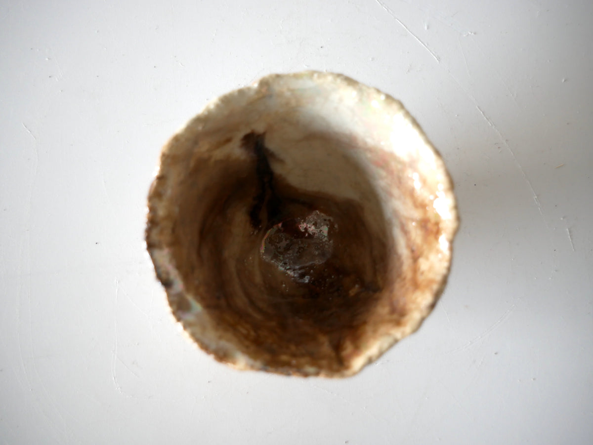 Kimura Takashi [124. White Glaze Iridescent Sake Cup]