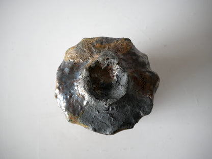 Takashi Kimura [145. Ash-glazed Hikidashi Guinomi]