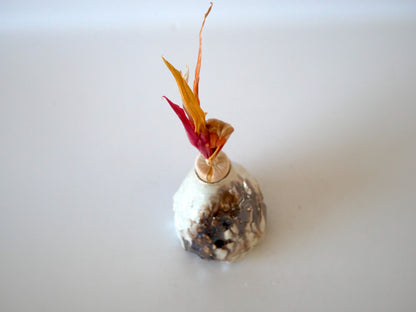 Takashi Kimura [66. White Glaze Iridescent Furidashi]