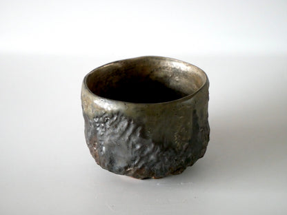 Kazue Wakabayashi [10. Silver Urushi-Sai Yohen Chawan]