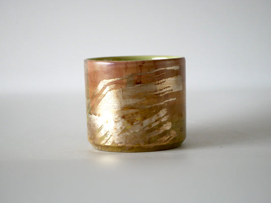 Kazue Wakabayashi [66. Silver Urushi-sai Cup]