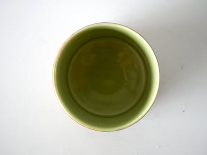 Kazue Wakabayashi [66. Silver Urushi-sai Cup]
